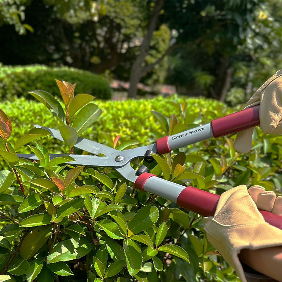 Hedge Shears 8 Garden Life 枝切ハサミ ガーデニング – GREEN CROSS