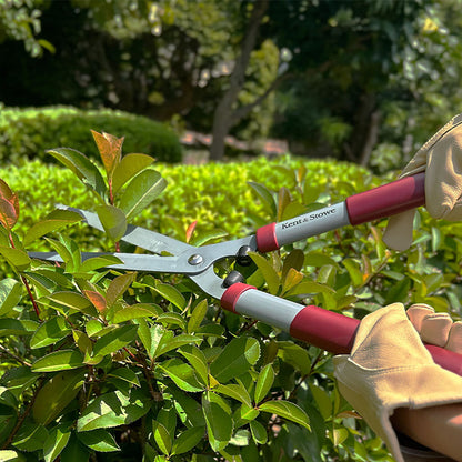 Hedge Shears 8 Garden Life 枝切ハサミ ガーデニング