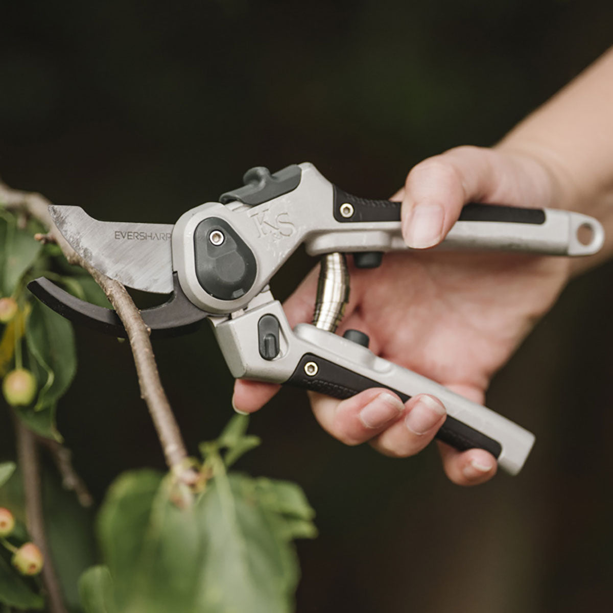 Eversharp All Purpose Secateurs Lite 多用途軽量剪定ばさみ