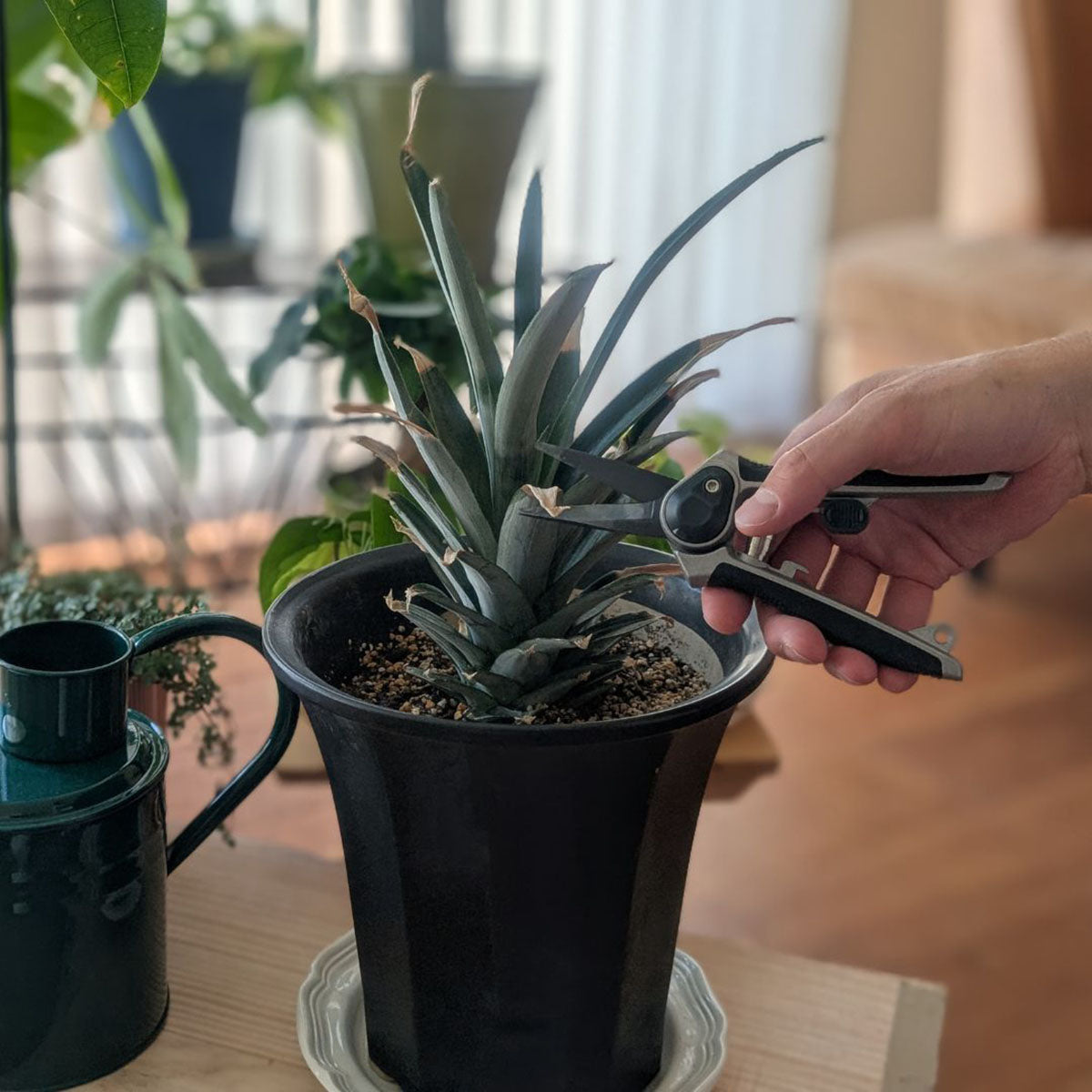 Eversharp Garden Snips 多用途小型剪定ばさみ