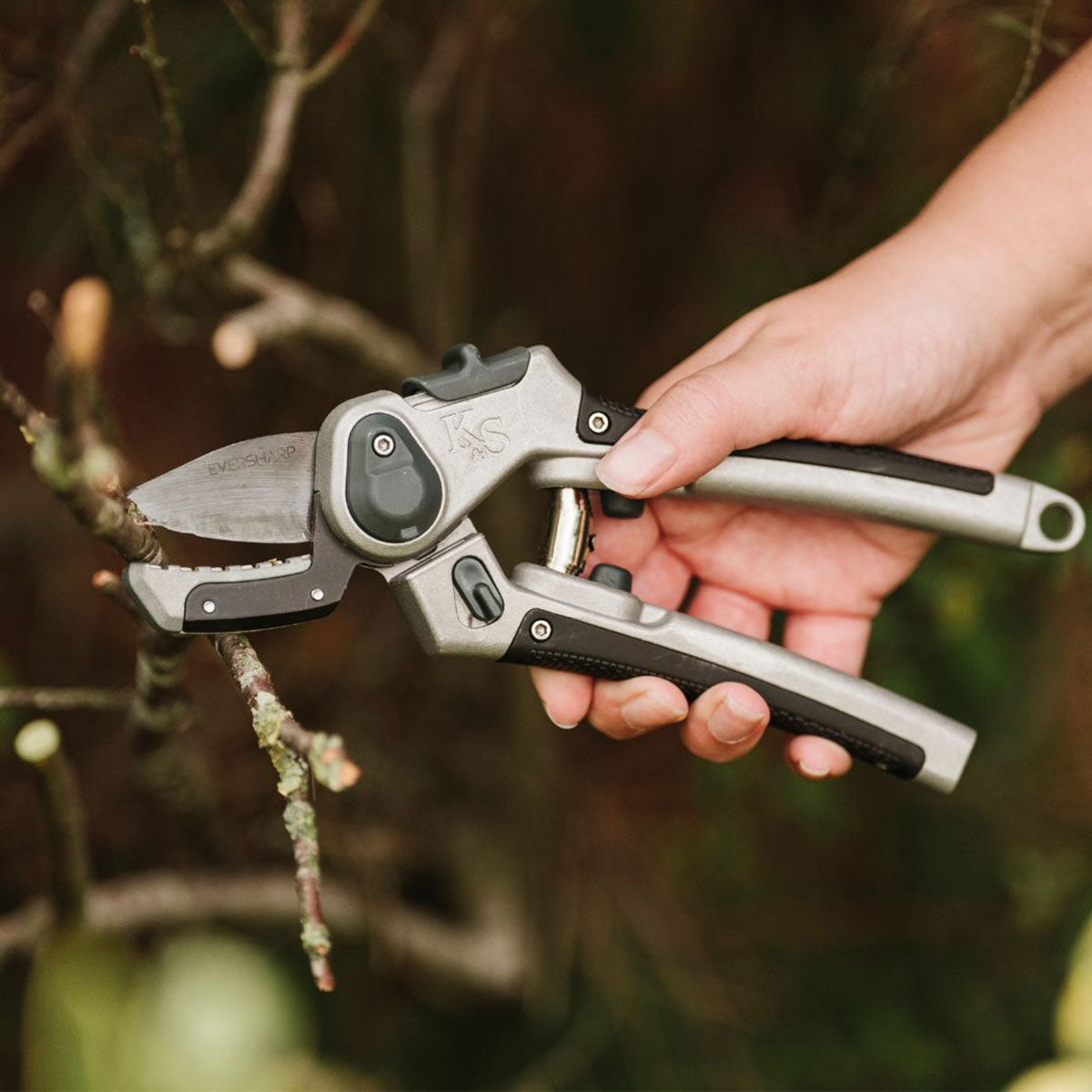 Eversharp Hard Wood Secateurs  堅木用剪定ばさみ