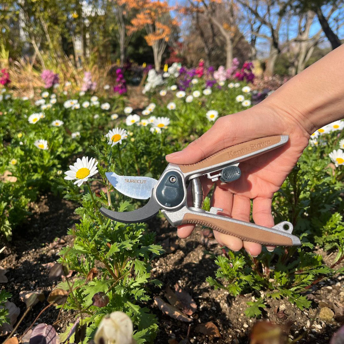All Purpose Mini Secateurs Garden Life 小型剪定ばさみ