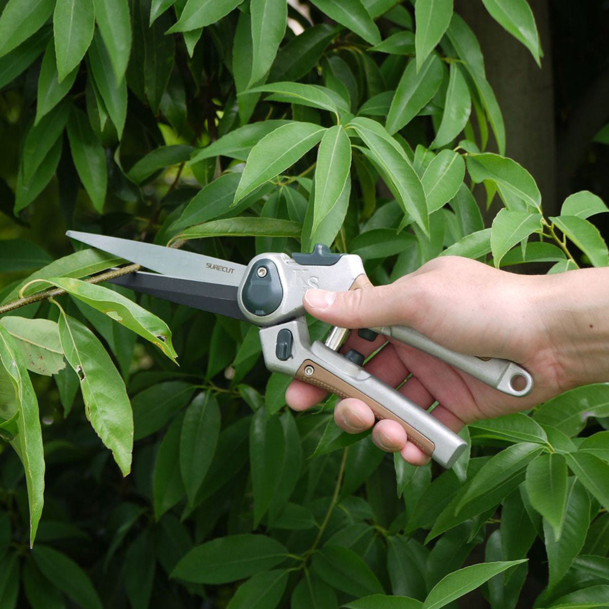 Sure Cut Perennial Hand Shears 刈込用剪定ばさみ