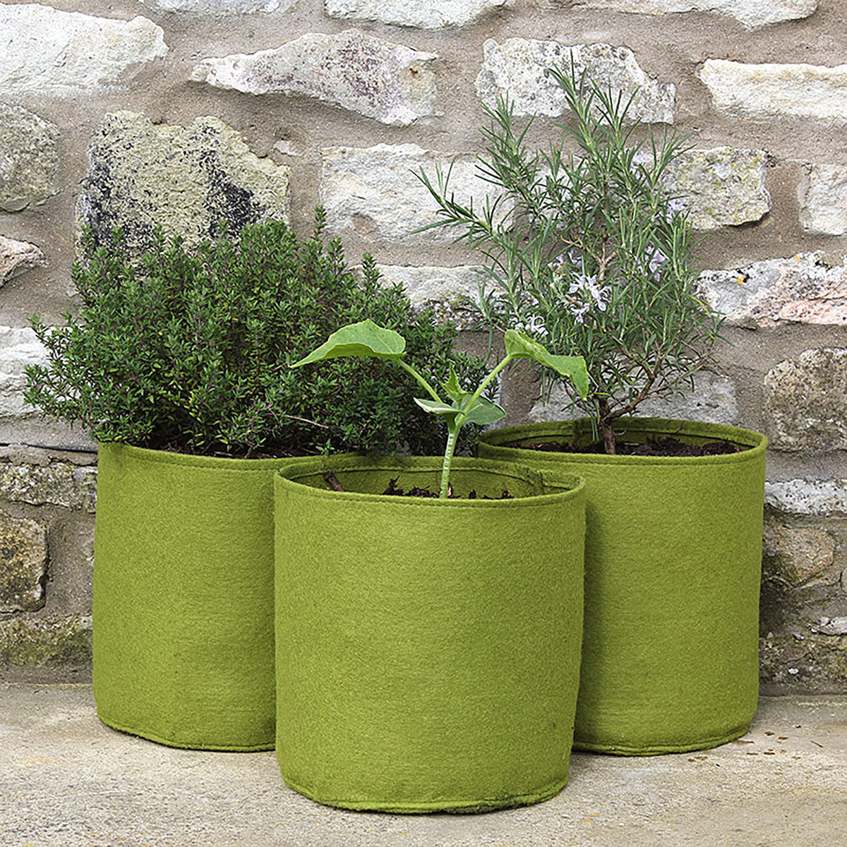 Vigoroot Pots 5L 3-pack 布製鉢 プランター 3枚入り