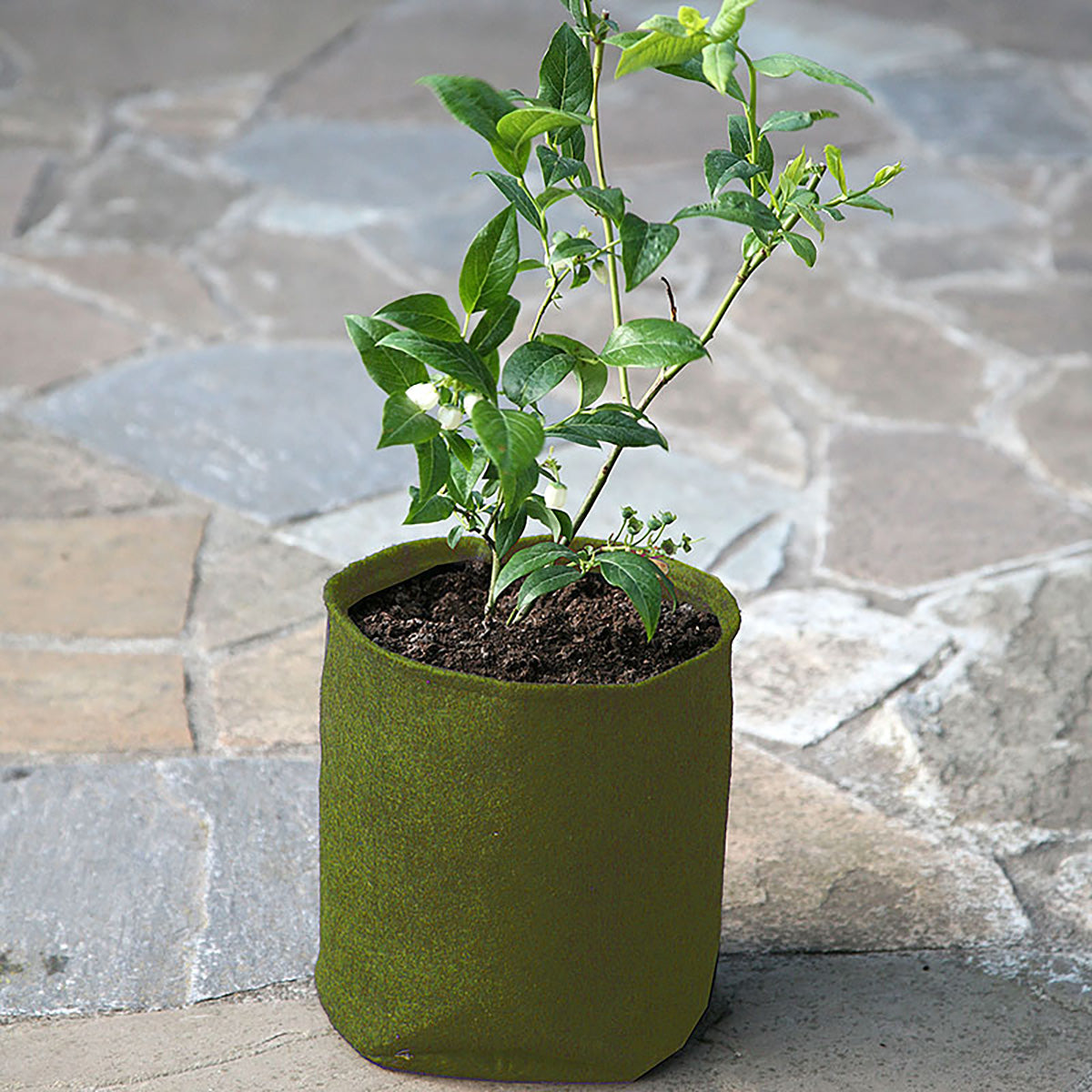 Vigoroot Pots 5L 3-pack 布製鉢 プランター 3枚入り