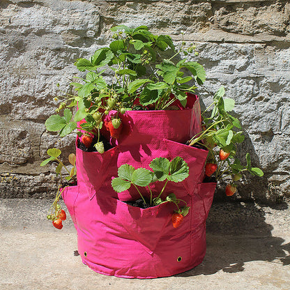 Strawberry & Herb Patio Planters 2-pack いちご・ハーブ たためるプランター ポケット付き 2枚入り