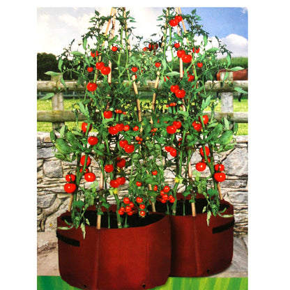 Tomato Patio Planters 2-pack トマト たためるプランター 支柱フレーム