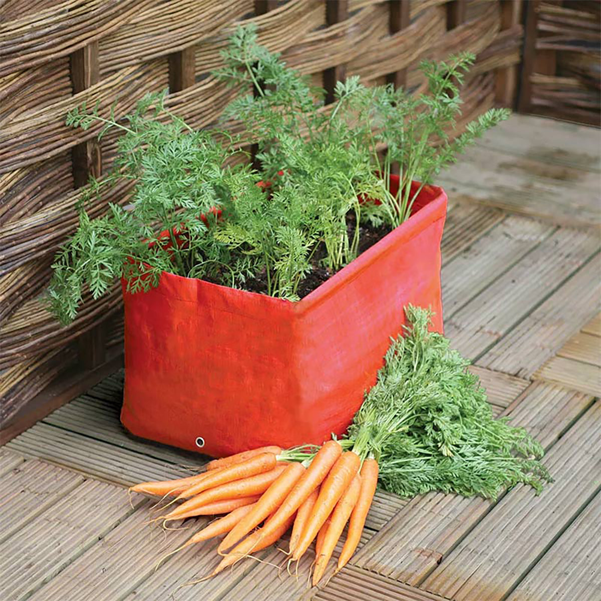 Carrot Patio Planter 2-pack 人参・根菜 深型 たためるプランター 2枚入り