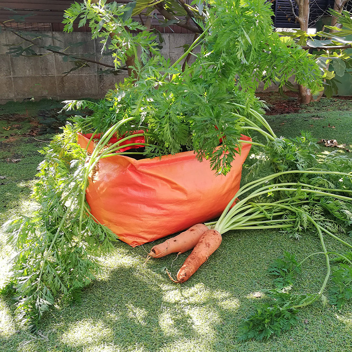 Carrot Patio Planter 2-pack 人参・根菜 深型 たためるプランター 2枚入り