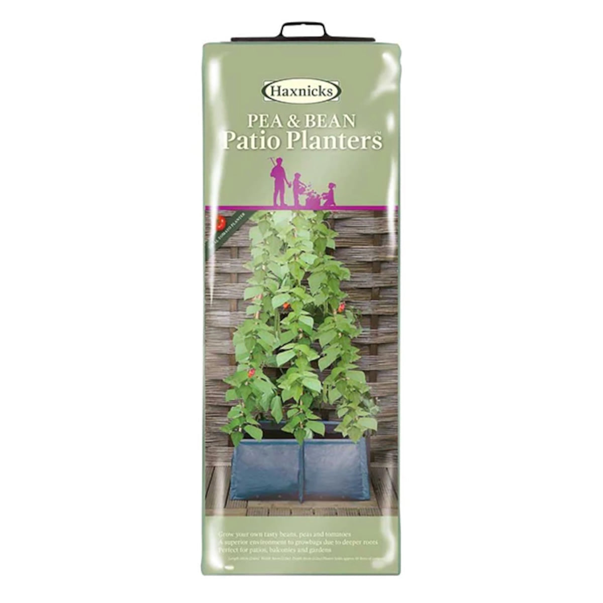 Pea & Bean Patio Planter つる性植物 たためるプランター 支柱穴付き