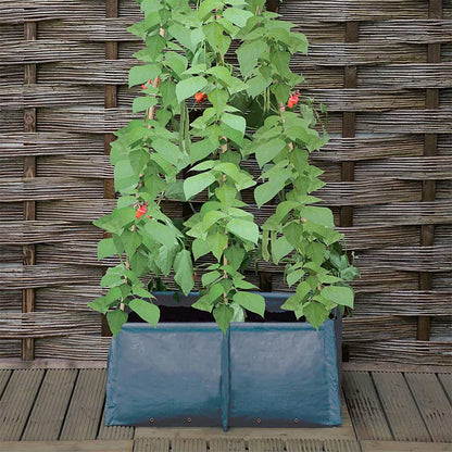 Pea & Bean Patio Planter つる性植物 たためるプランター 支柱穴付き