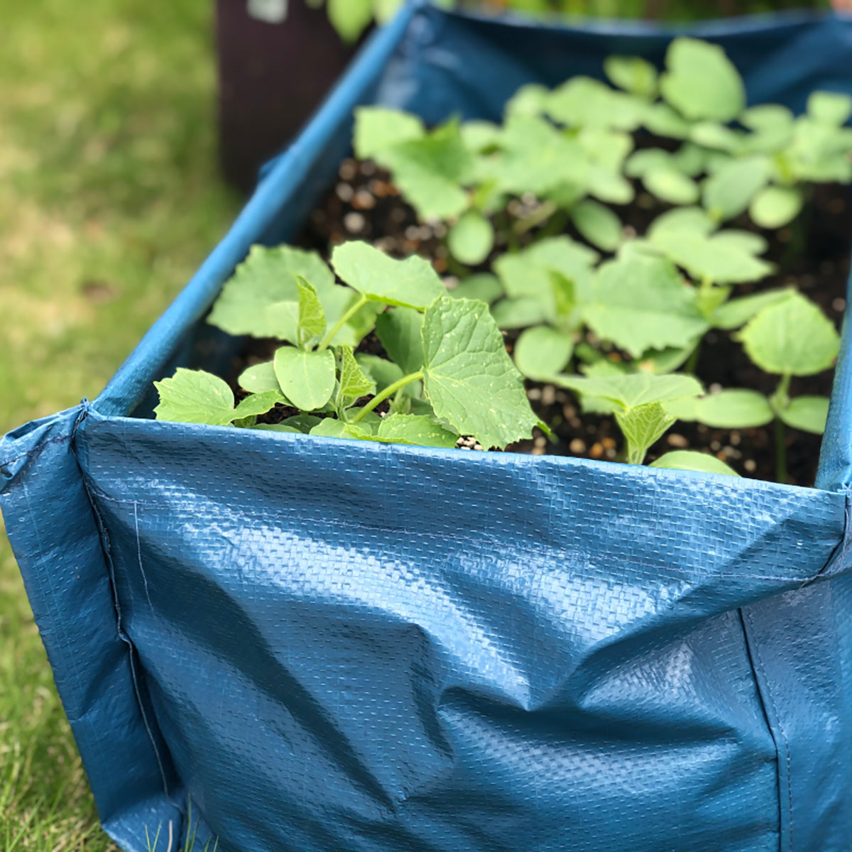 Pea & Bean Patio Planter つる性植物 たためるプランター 支柱穴付き