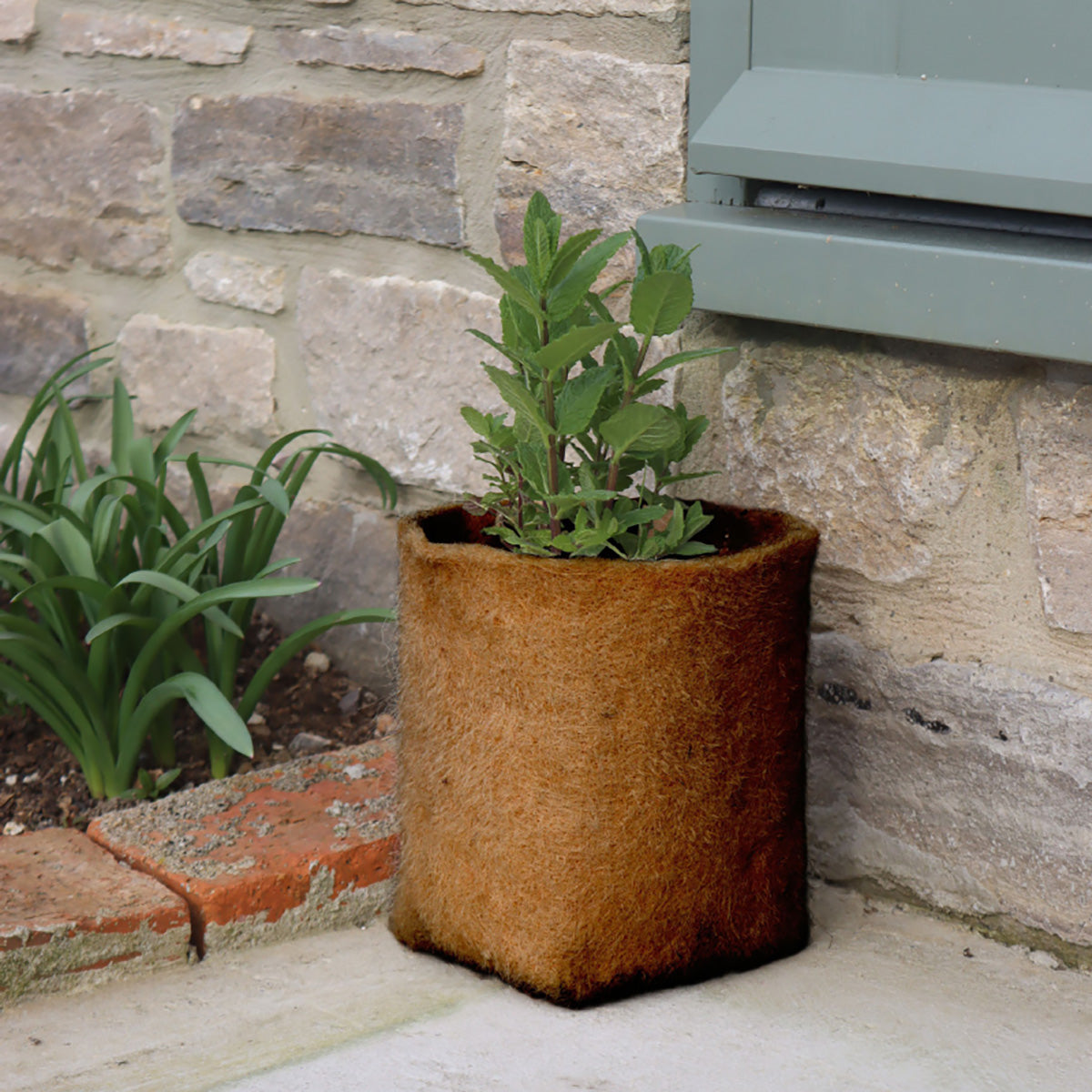 Hemp Fibre Pot 5L 麻製 鉢カバー