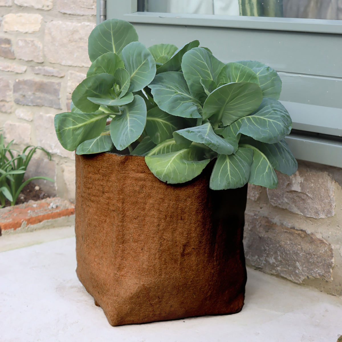 Hemp Fibre Pot 20L 麻製 鉢カバー