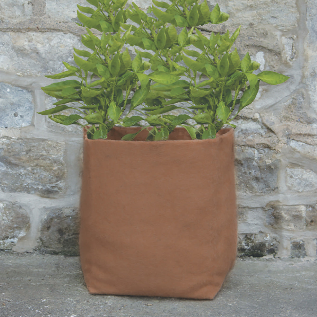 Hemp Fibre Pot 20L 麻製 鉢カバー