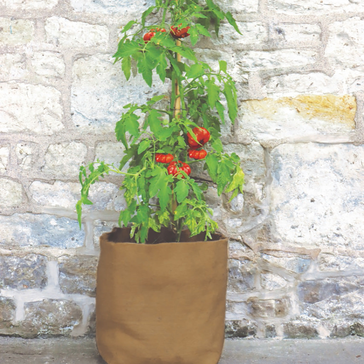 Hemp Fibre Pot 30L 麻製 鉢カバー