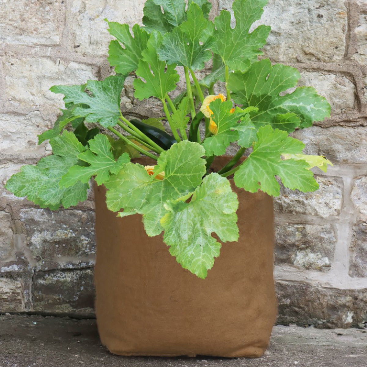 Hemp Fibre Pot 40L 麻製 鉢カバー