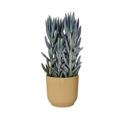 Vibes Fold Pot 16cm リサイクルプラスチック製ポット イエロー
