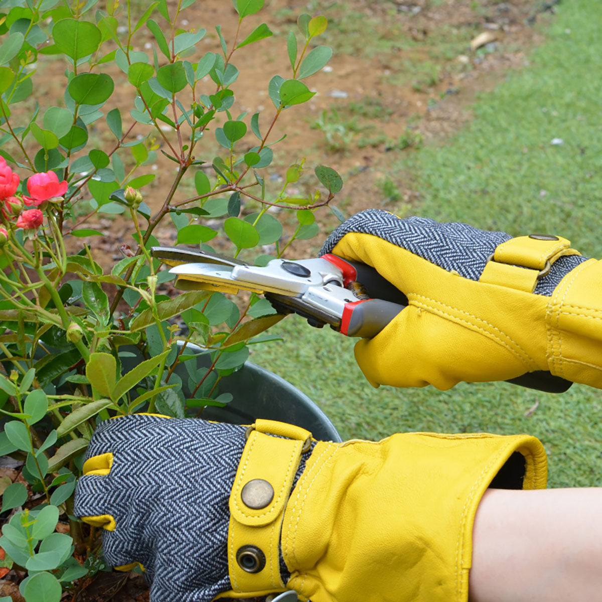 Luxury Leather Gauntlet Gloves Ladies Medium ガーデニング グローブ レディース Mサイズ
