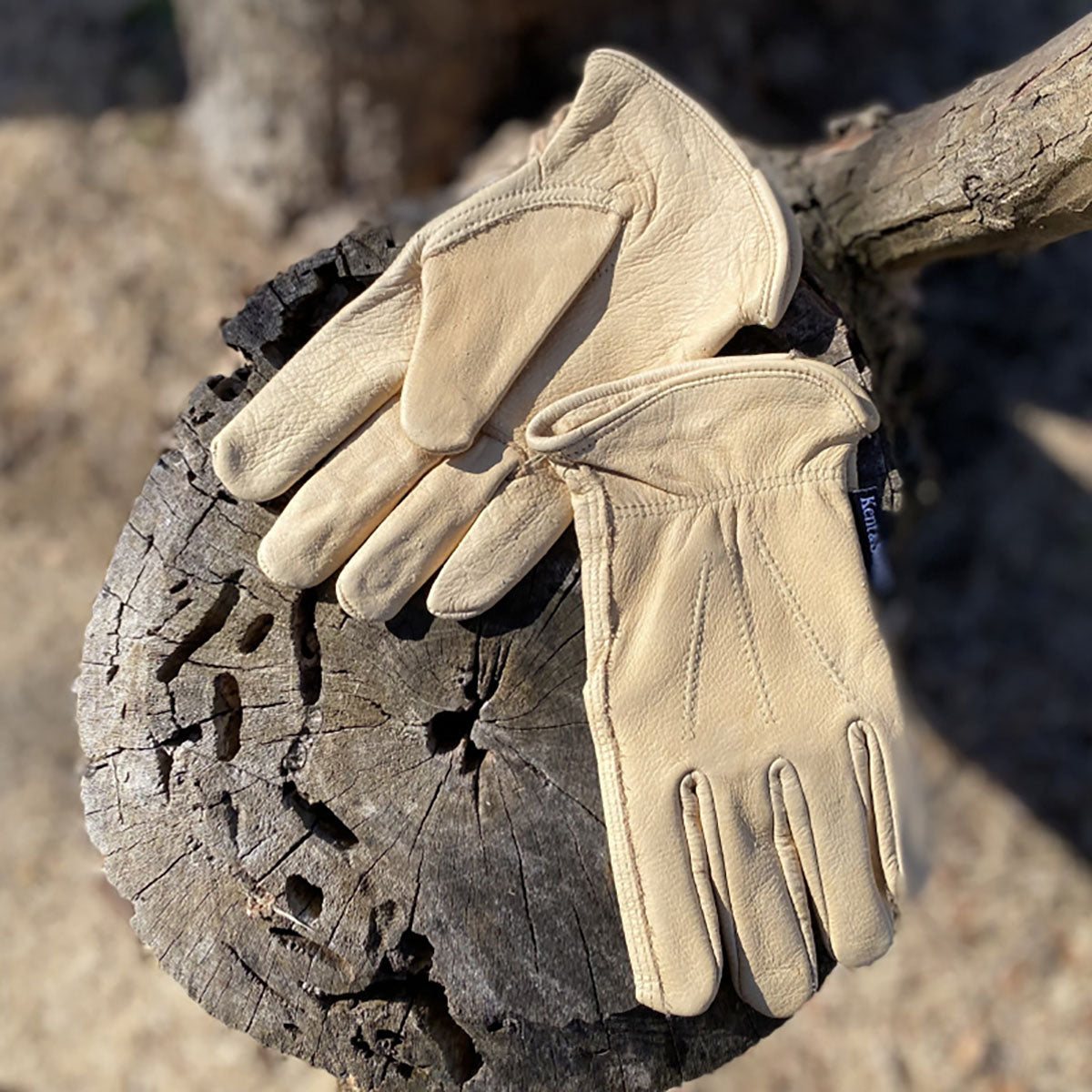 Luxury Leather Water Resistant Gloves Ladies Small 耐水グローブ レディース Sサイズ