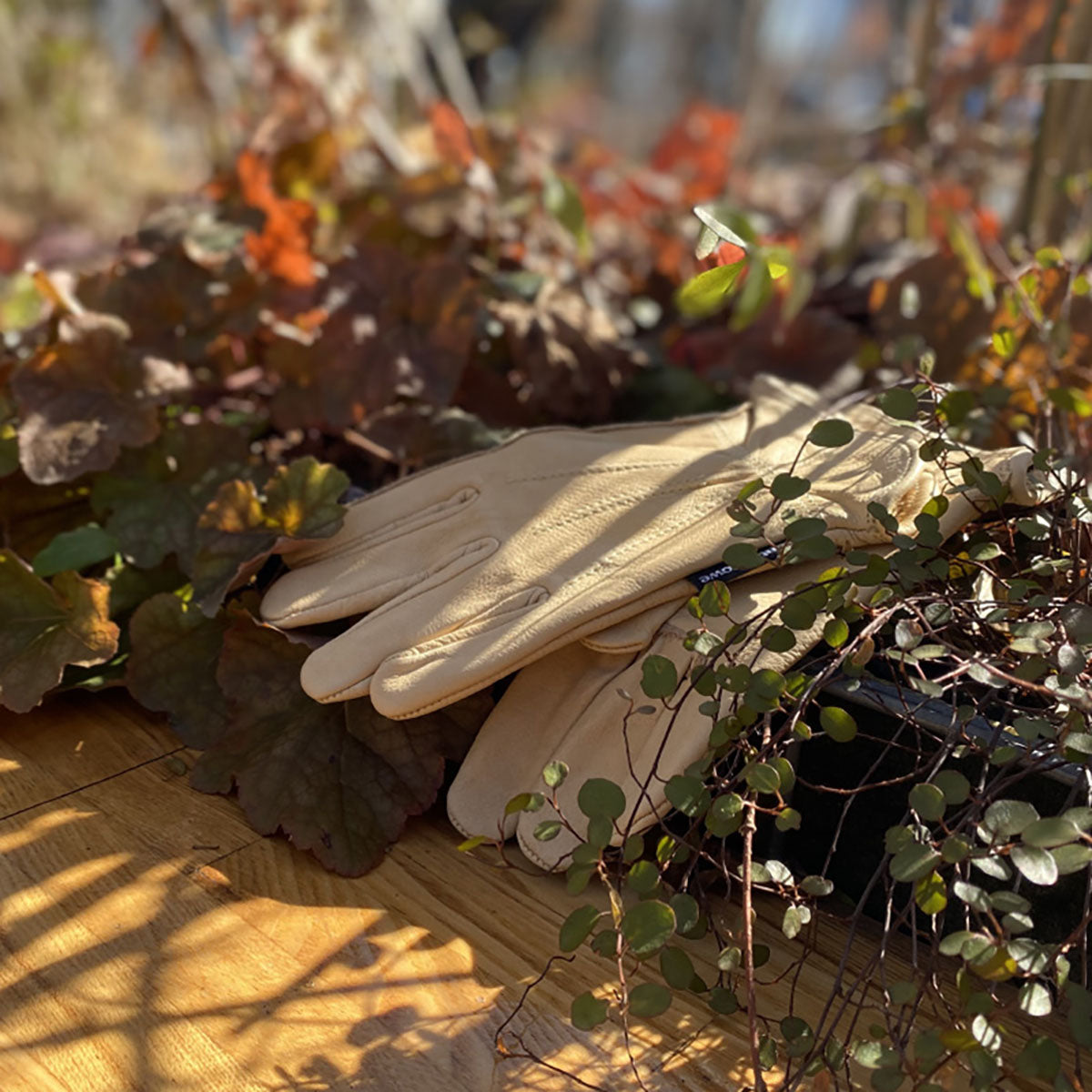 Luxury Leather Water Resistant Gloves Ladies Small 耐水グローブ レディース Sサイズ