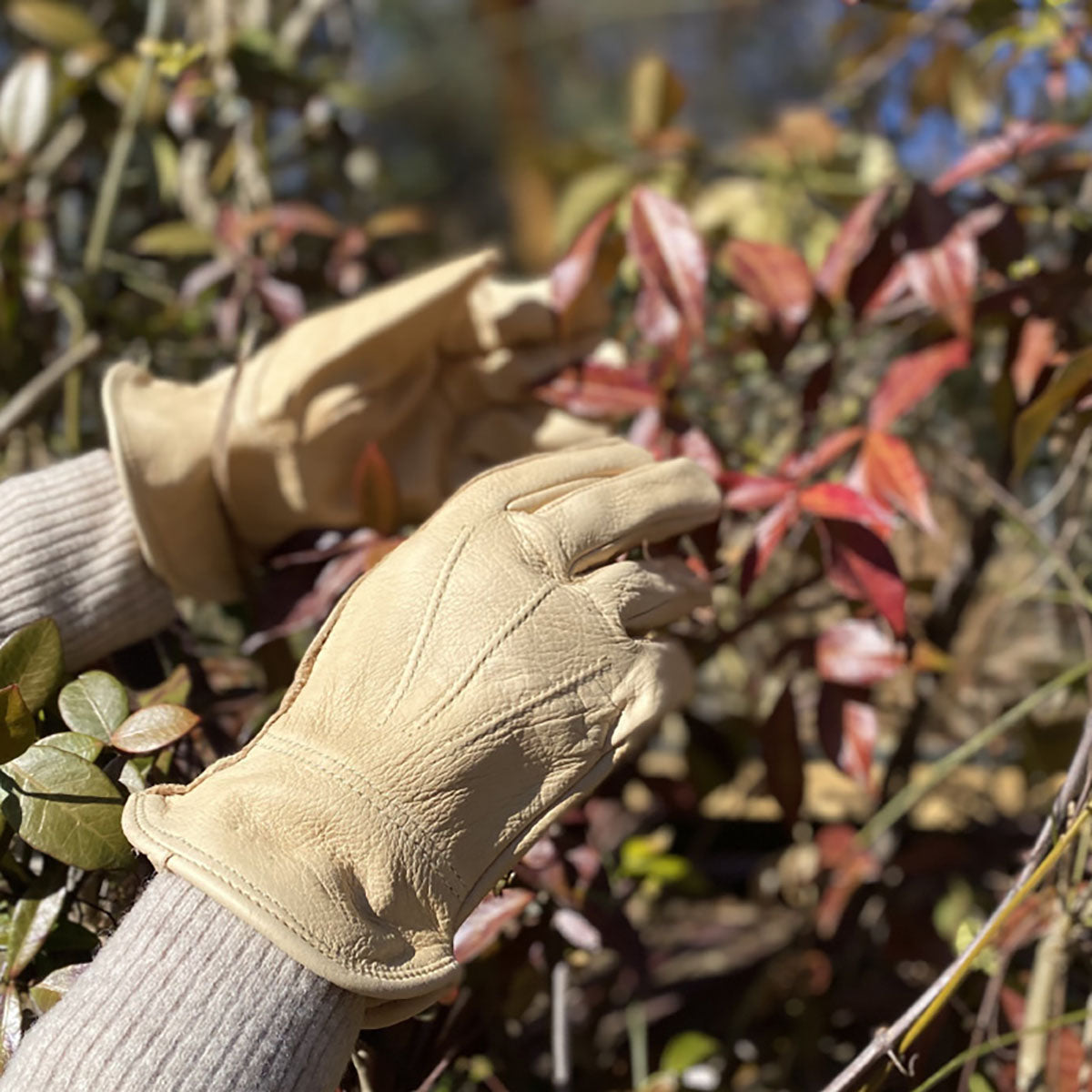 Luxury Leather Water Resistant Gloves Ladies Small 耐水グローブ レディース Sサイズ