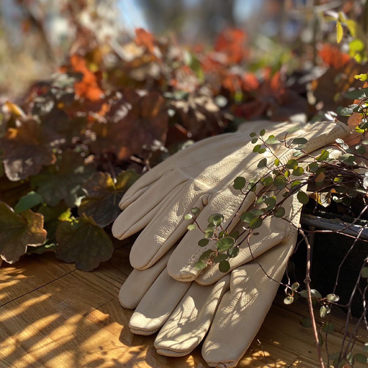 Luxury Leather Water Resistant Gloves Ladies Medium 耐水グローブ レディース Mサイズ