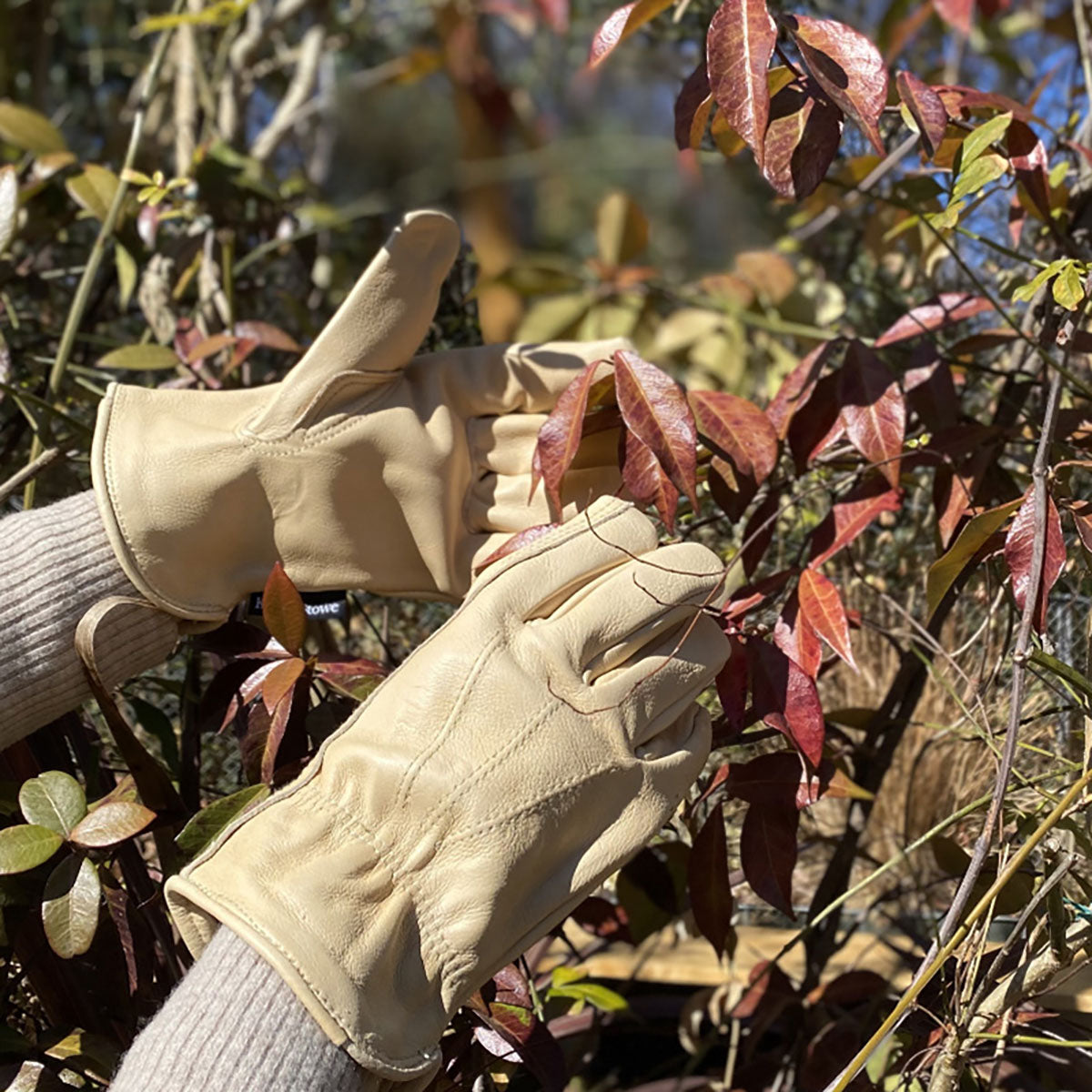 Luxury Leather Water Resistant Gloves Ladies Medium 耐水グローブ レディース Mサイズ
