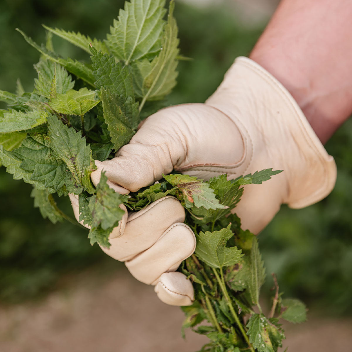 Luxury Leather Water Resistant Gloves Mens Medium 耐水グローブ メンズ Mサイズ
