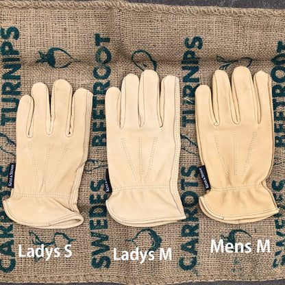 Luxury Leather Water Resistant Gloves Ladies Small 耐水グローブ レディース Sサイズ