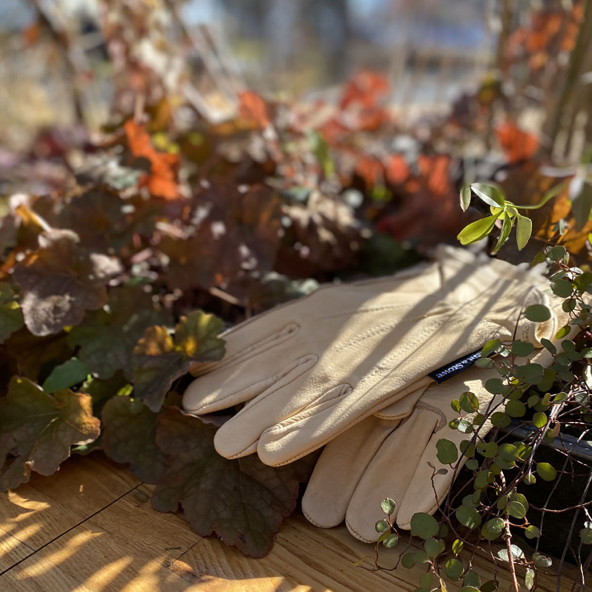 Luxury Leather Water Resistant Gloves Mens Large 耐水グローブ メンズ Lサイズ