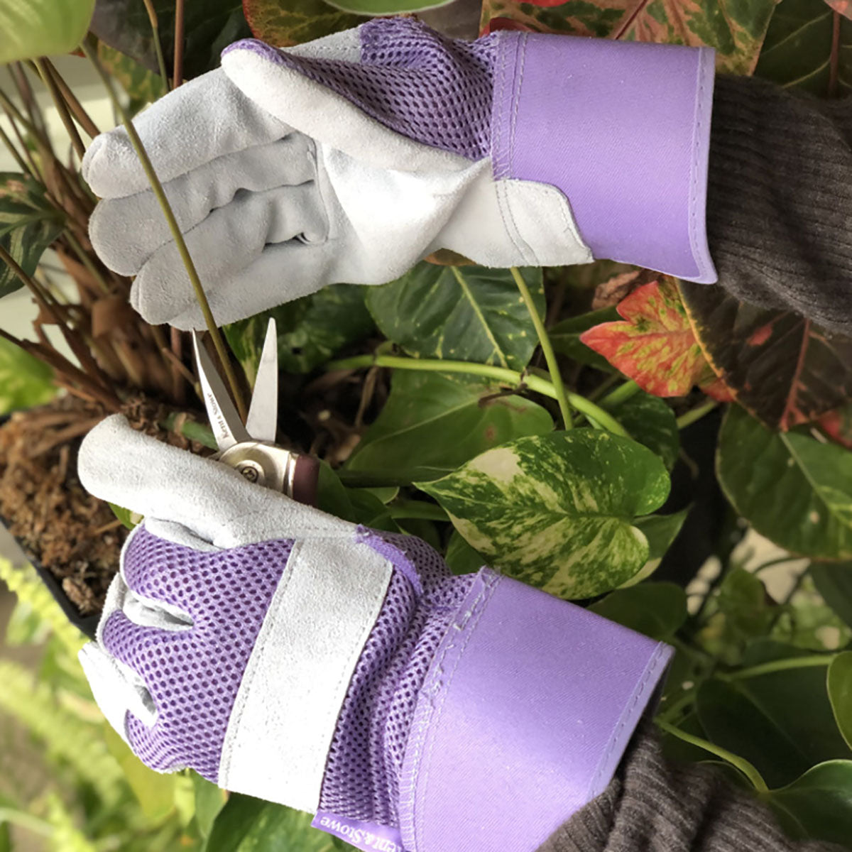 Rigger Gloves Ladies Medium ガーデニング グローブ レディース Mサイズ