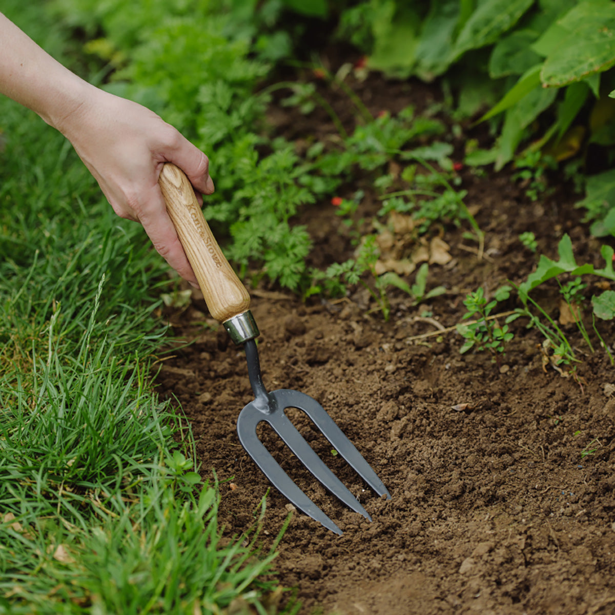 Hand Fork Carbon Steel ハンドフォーク