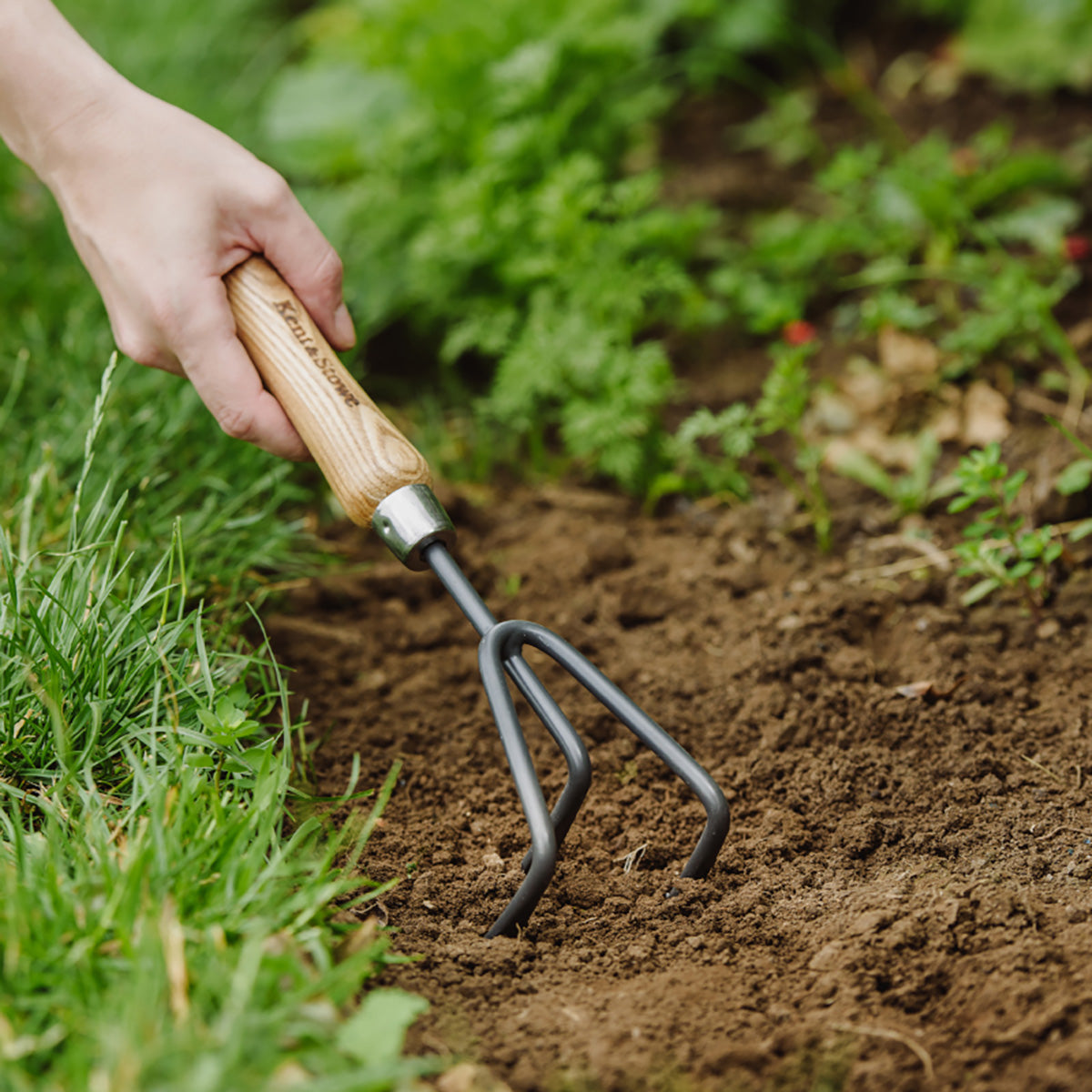 Hand 3 Prong Cultivator Carbon Steel ハンド熊手