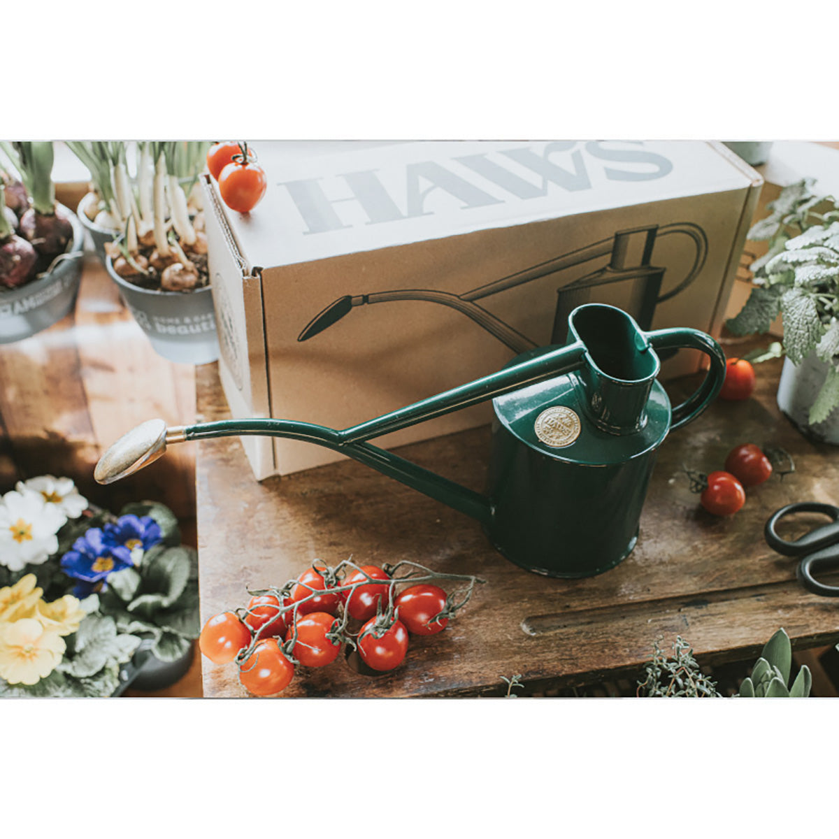 Metal Indoor 1L 金属製 じょうろ ガーデニング グリーン