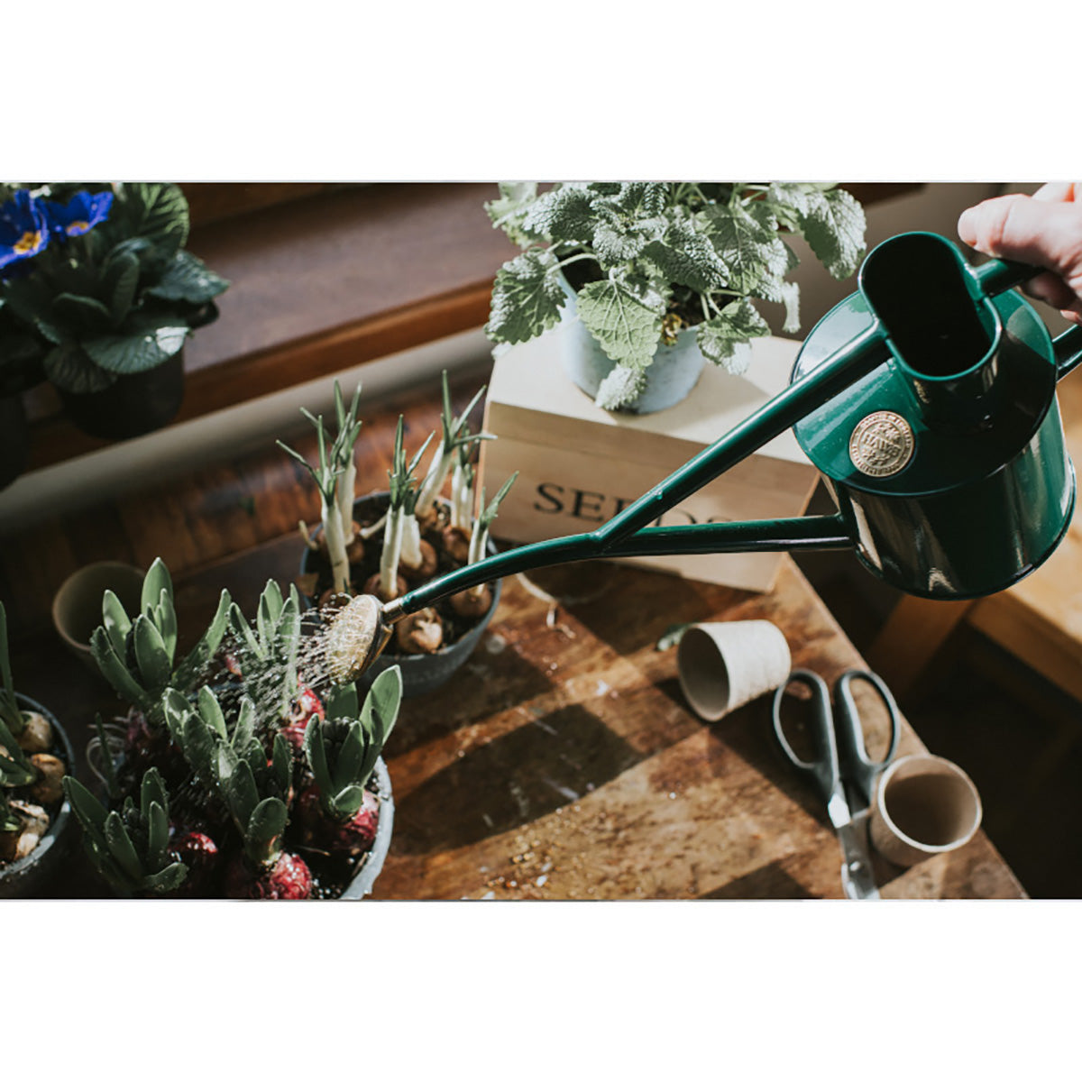 Metal Indoor 1L 金属製 じょうろ ガーデニング グリーン