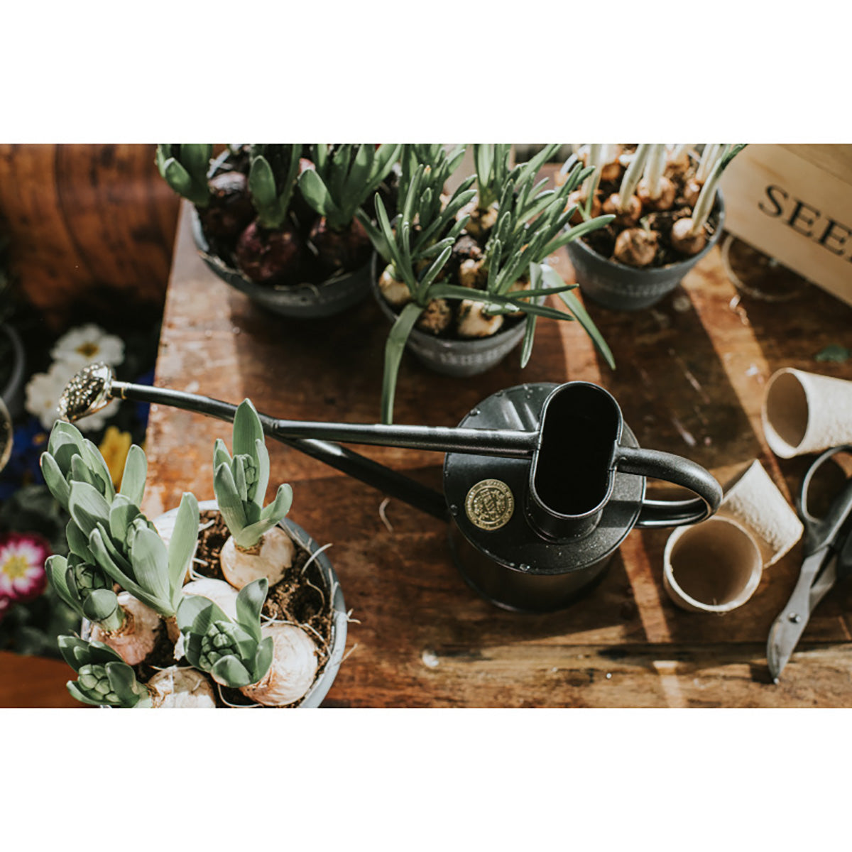 Metal Indoor 1L 金属製 じょうろ ガーデニング グラファイト