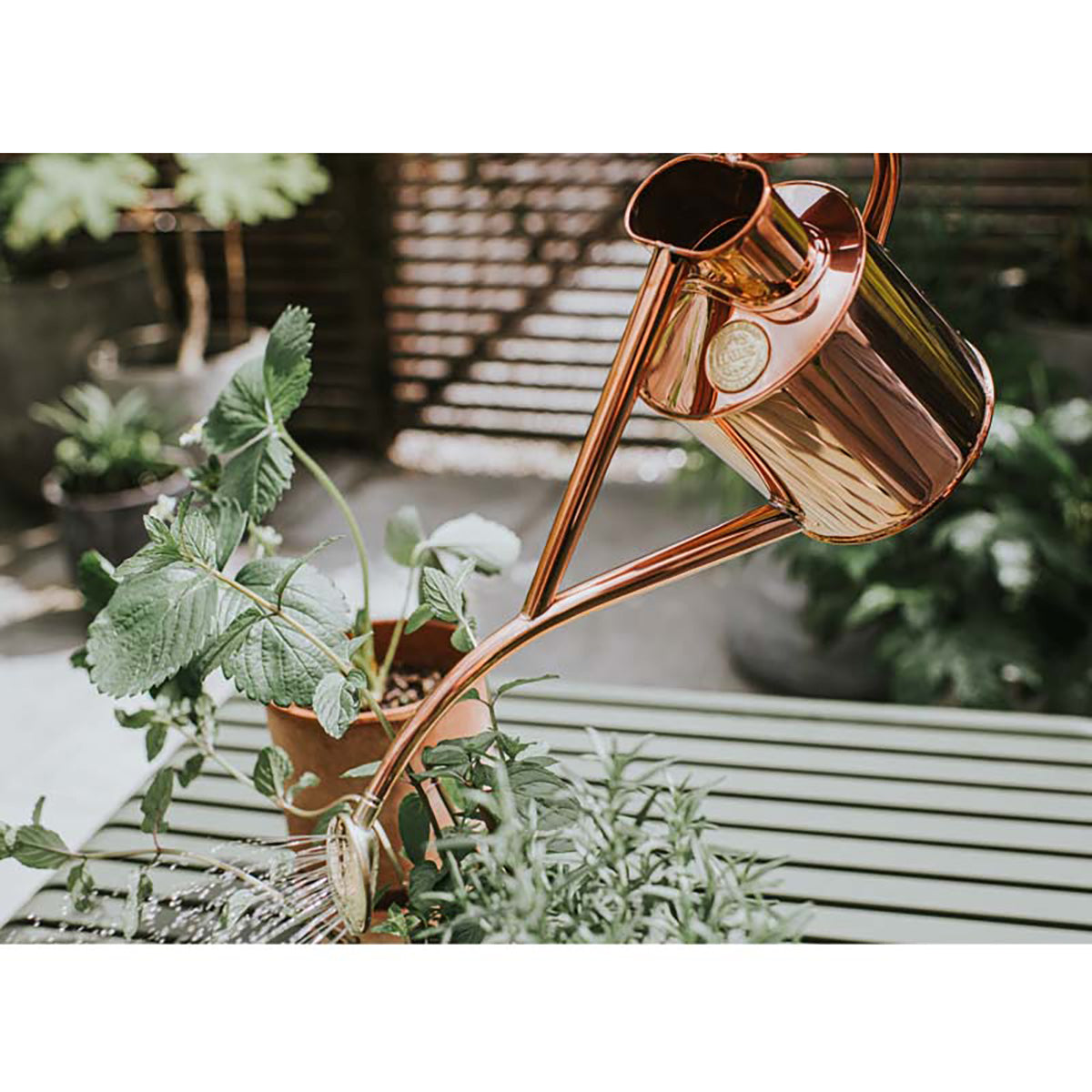 Metal Indoor 1L 金属製 じょうろ ガーデニング カッパー