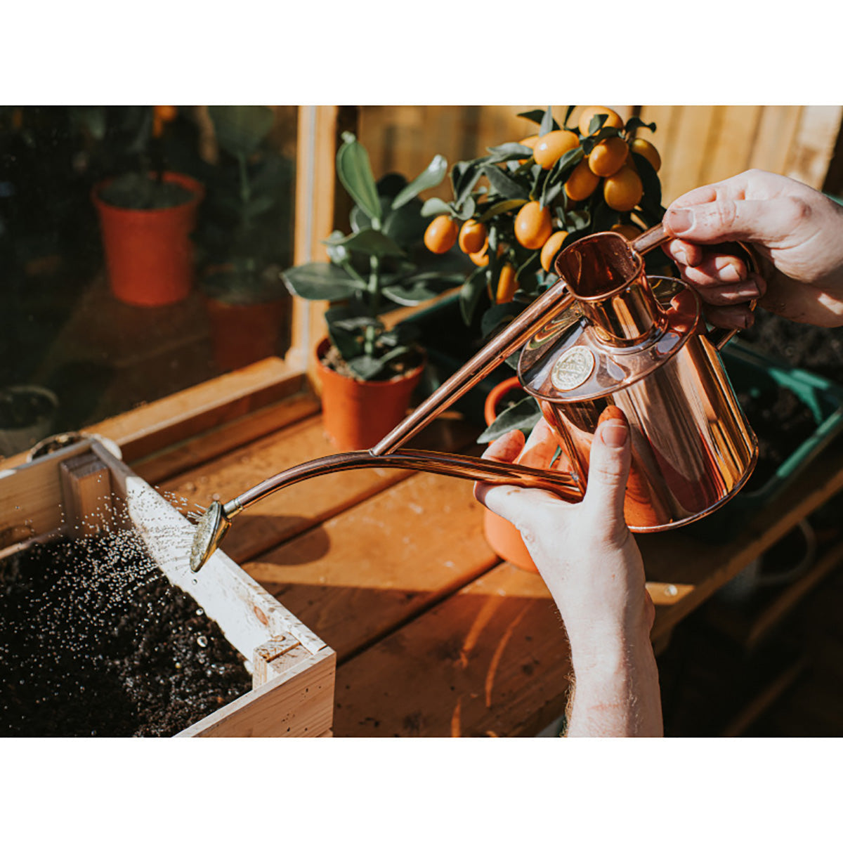 Metal Indoor 1L 金属製 じょうろ ガーデニング カッパー