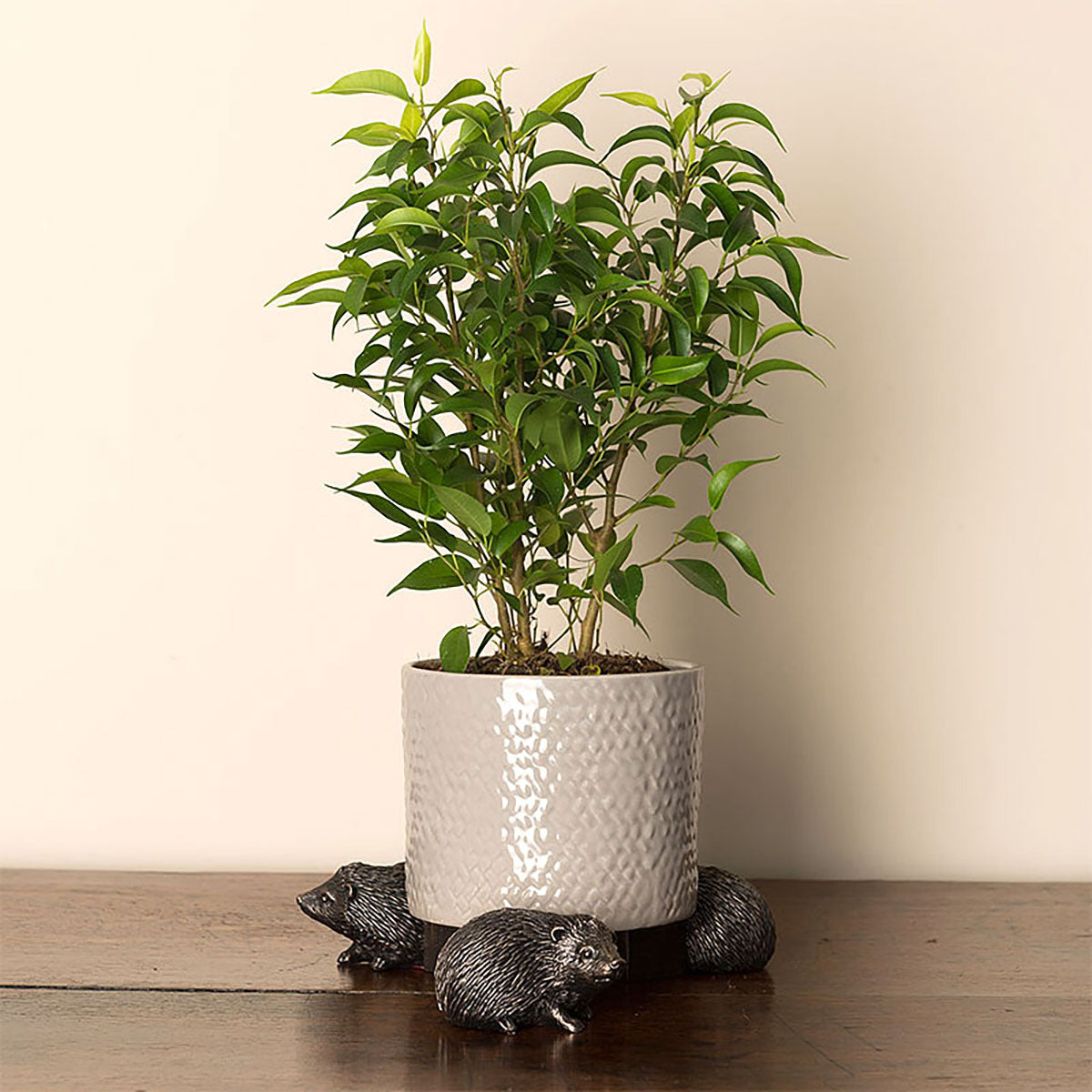 Potty Feet Hedgehog 鉢オブジェ ポットフィート ハリネズミ 3個入り