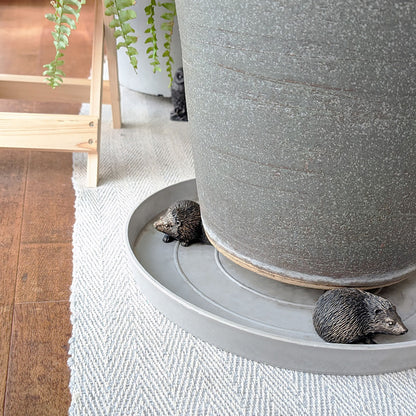 Potty Feet Hedgehog 鉢オブジェ ポットフィート ハリネズミ 3個入り