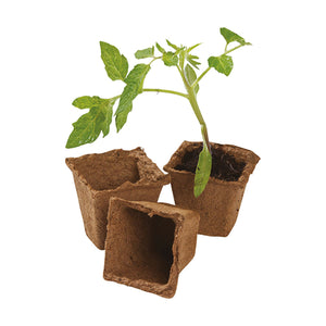 Fibre Pot Square ファイバーポット 四角 6cm×20個入り