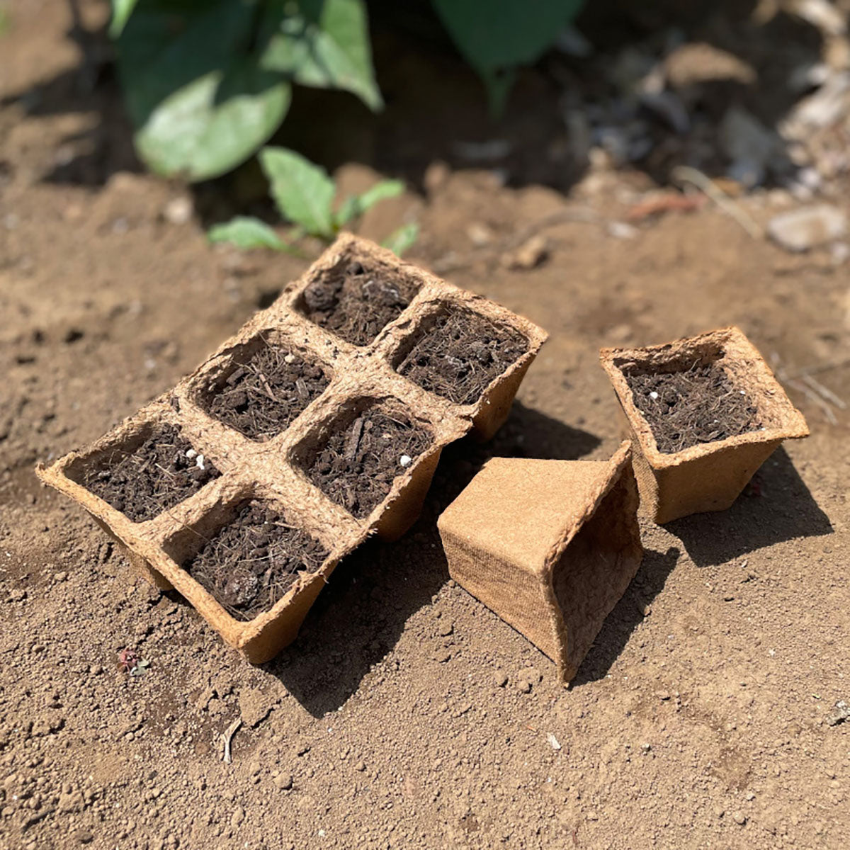 Fibre Pot Square ファイバーポット 四角 12穴(5cm)×3枚セット