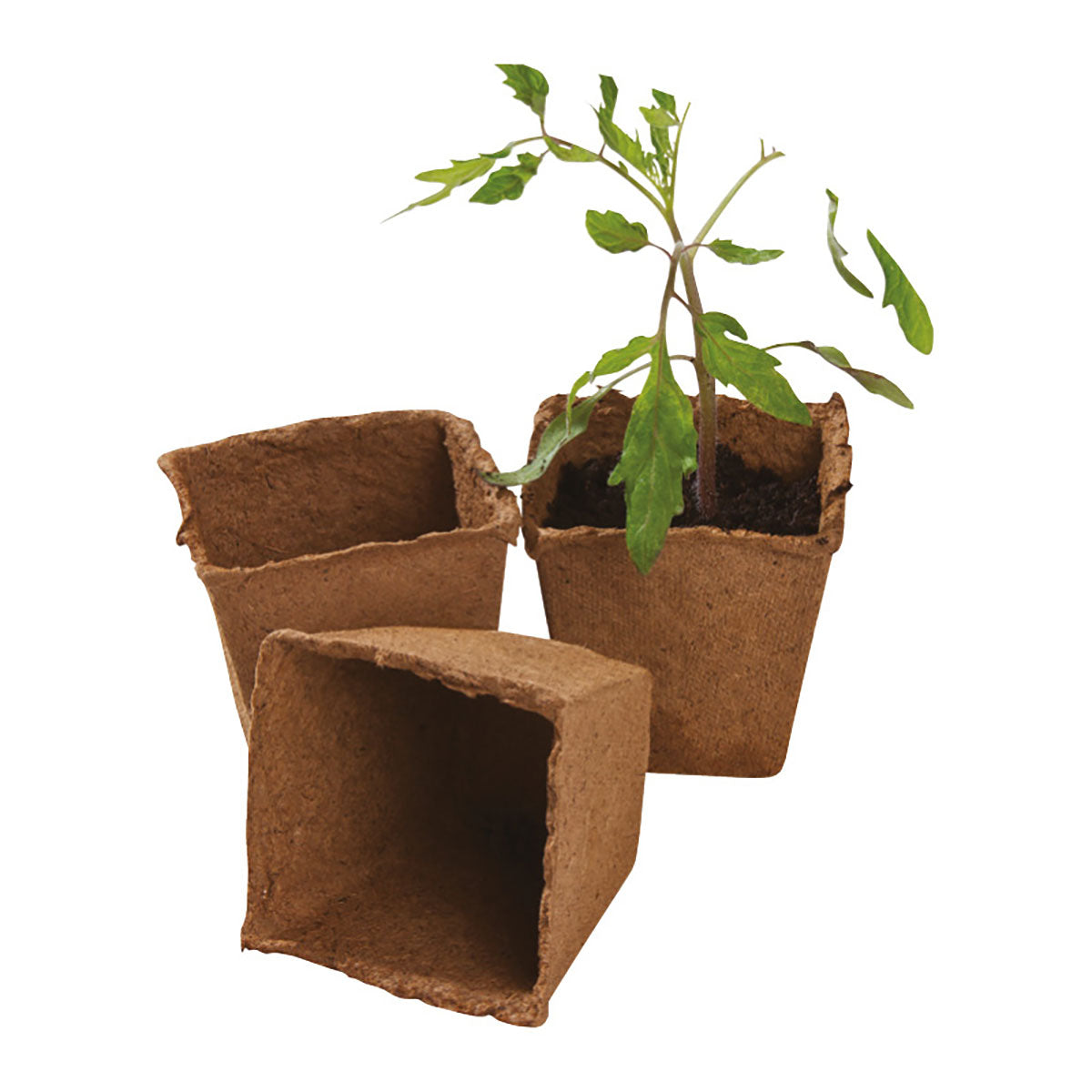 Fibre Pot Square ファイバーポット 四角 8cm×12個入り