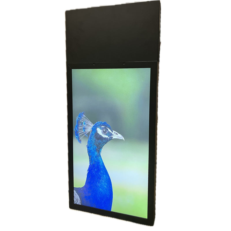 series-bothsides-display