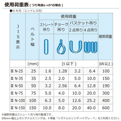 東レインターナショナル シグナルスリング SE3N エンドレス形 6.3ton 幅100mm 長さ1m～5ｍ
