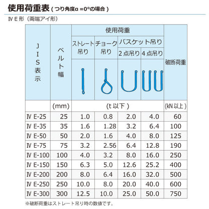 東レインターナショナル シグナルスリングHG SGE4E  両端アイ形 10ton 幅250mm 長さ2.5m～10ｍ