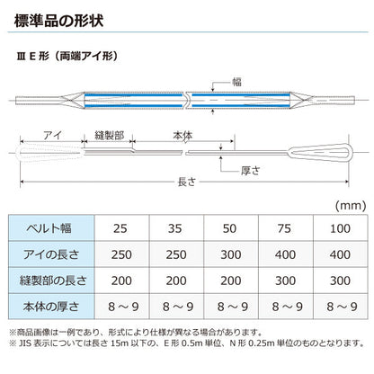 東レインターナショナル ポリエステルスリング PET3E 両端アイ形 3.2ton 幅100mm 長さ1.5m～10ｍ