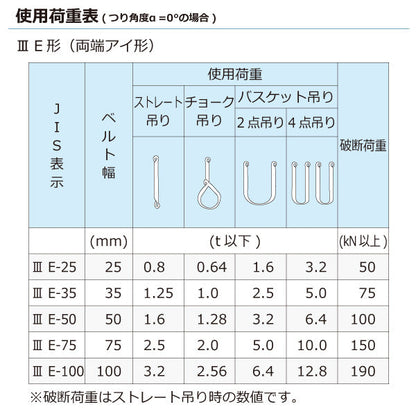 東レインターナショナル ポリエステルスリング PET3E 両端アイ形 3.2ton 幅100mm 長さ1.5m～10ｍ