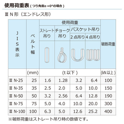東レインターナショナル ポリエステルスリング PET3N エンドレス形 5ton 幅75mm 長さ1m～5ｍ